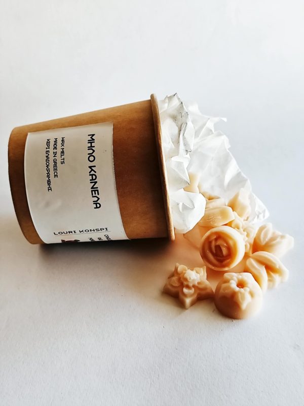 Wax Melts με άρωμα Μήλο Κανέλα 70 γρ