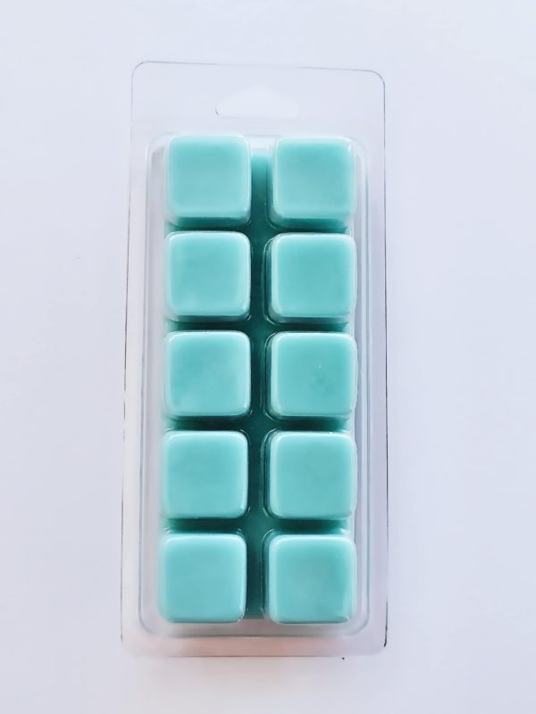 Evergreen Dreams Wax melt snap bar 130gr
